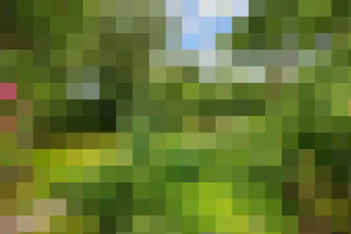 Broeksterweg 6 Pieterburen thumbnail 46