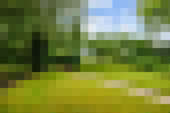 Broeksterweg 6 Pieterburen thumbnail 47
