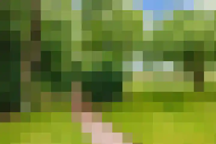 Broeksterweg 6 Pieterburen thumbnail 48