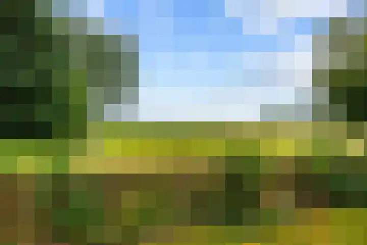 Broeksterweg 6 Pieterburen thumbnail 49