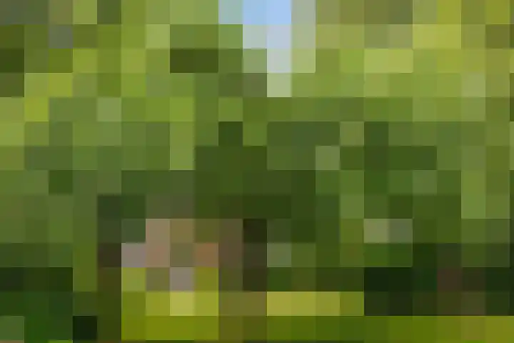 Broeksterweg 6 Pieterburen thumbnail 50