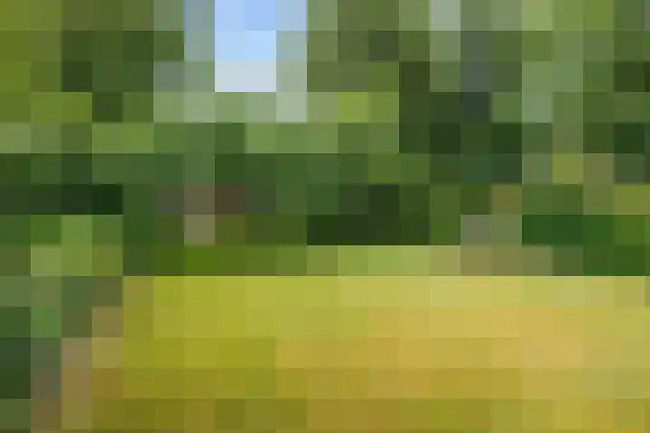 Broeksterweg 6 Pieterburen thumbnail 51
