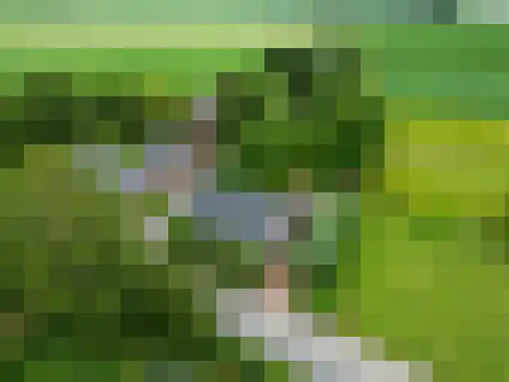 Broeksterweg 6 Pieterburen thumbnail 52