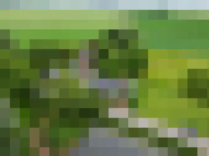 Broeksterweg 6 Pieterburen thumbnail 53