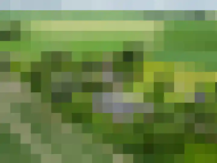 Broeksterweg 6 Pieterburen thumbnail 55