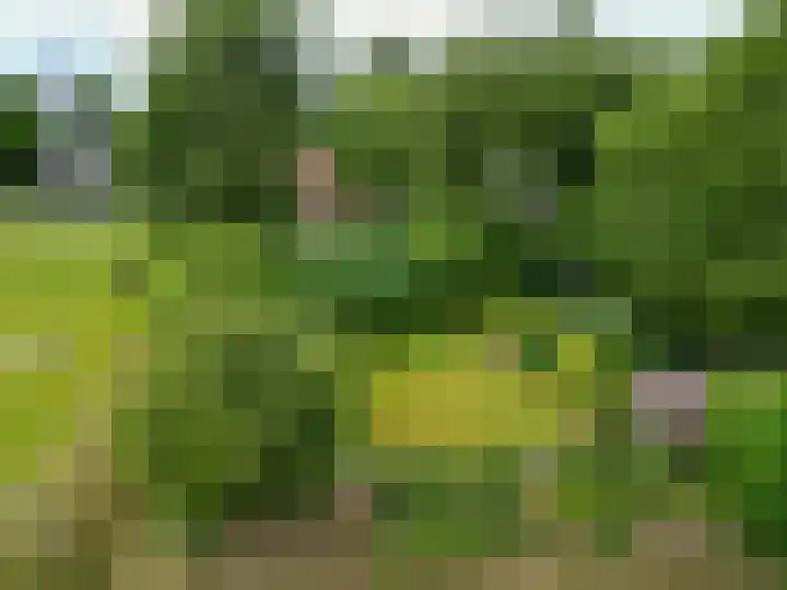 Broeksterweg 6 Pieterburen thumbnail 56