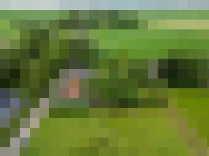 Broeksterweg 6 Pieterburen thumbnail 58