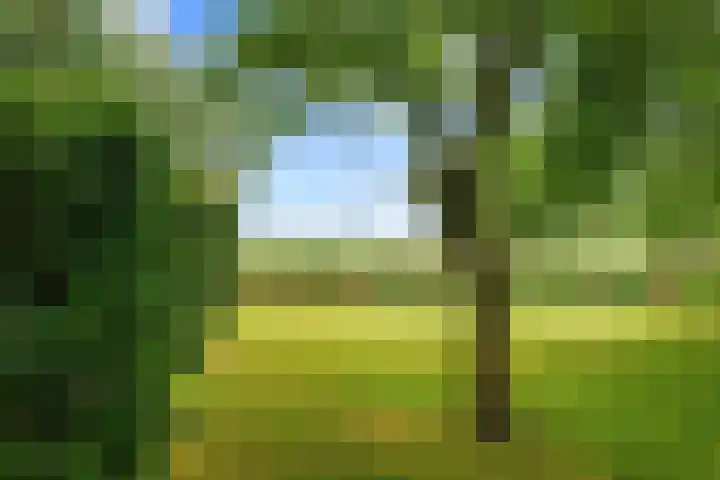 Broeksterweg 6 Pieterburen thumbnail 6