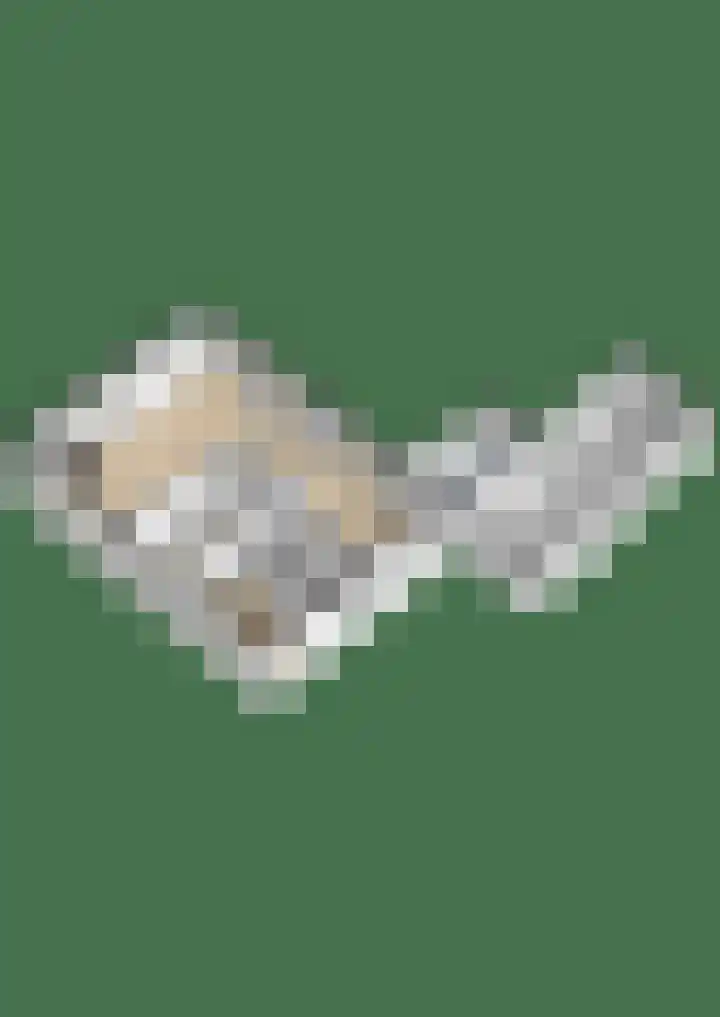 Broeksterweg 6 Pieterburen thumbnail 60