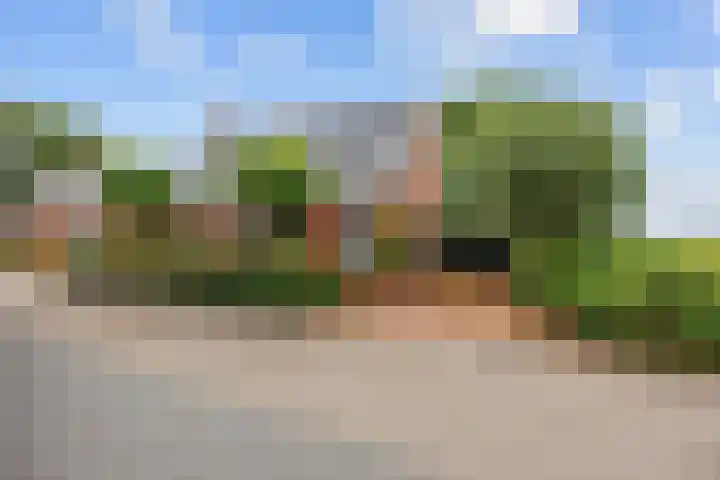Broeksterweg 6 Pieterburen thumbnail 7