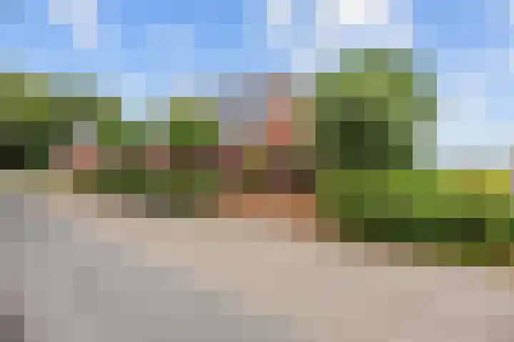 Broeksterweg 6 Pieterburen thumbnail 9
