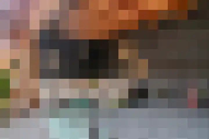 Broekstraat 1 A 5 Oirschot thumbnail 30