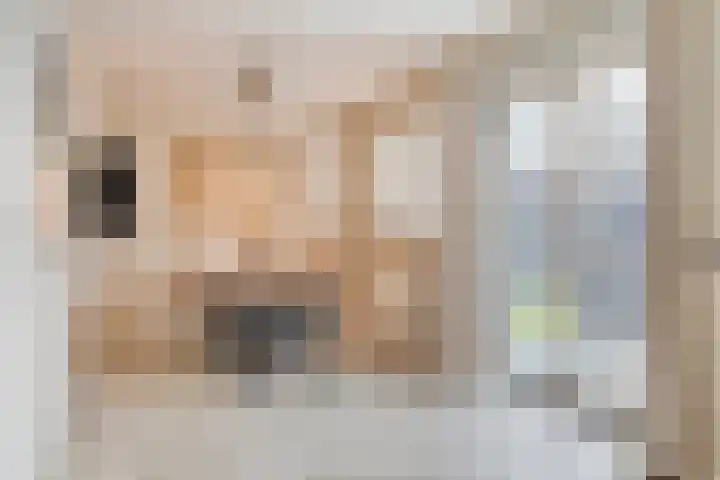 Broekstraat 1 Koningslust thumbnail 10