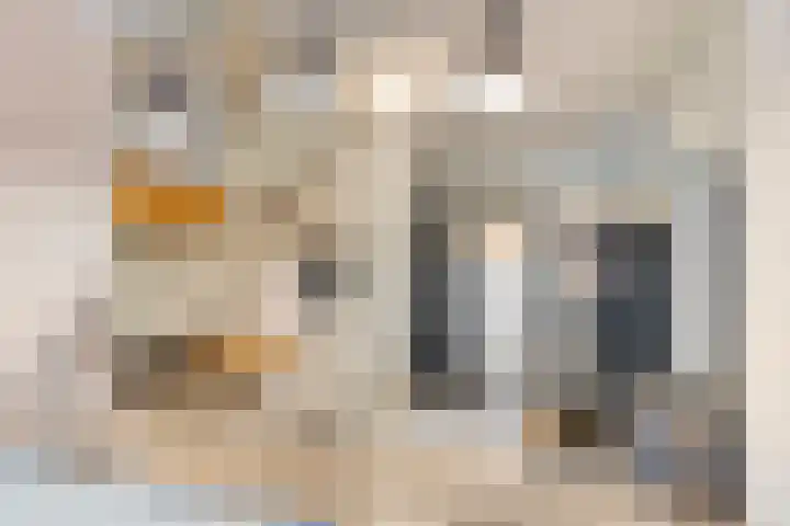 Broekstraat 1 Koningslust thumbnail 13