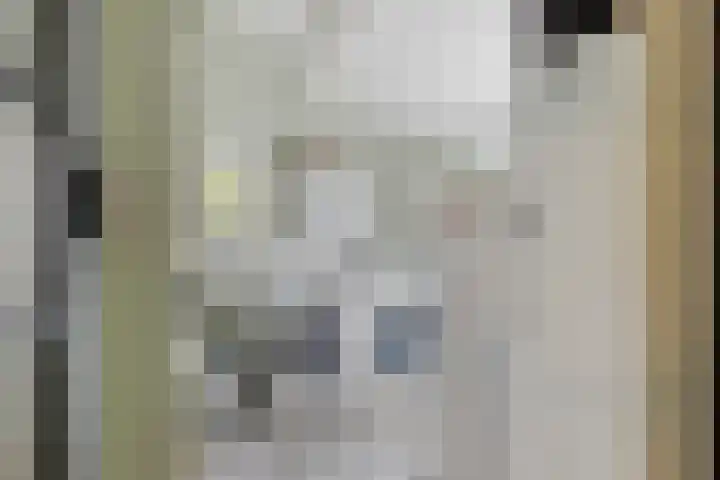 Broekstraat 1 Koningslust thumbnail 17