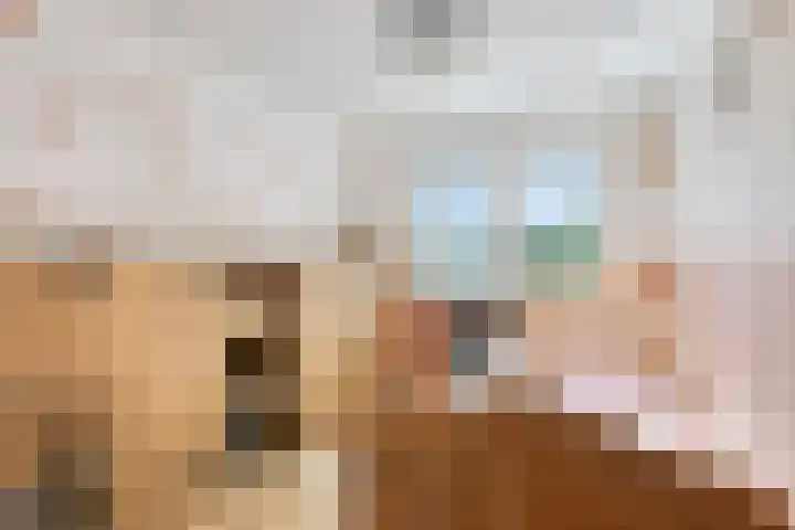 Broekstraat 1 Koningslust thumbnail 25
