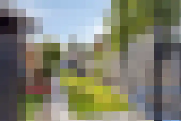 Broekstraat 1 Koningslust thumbnail 31