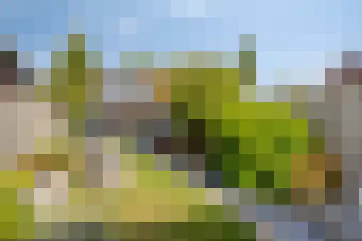 Broekstraat 1 Koningslust thumbnail 32