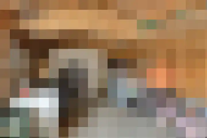 Broekstraat 1 Koningslust thumbnail 33