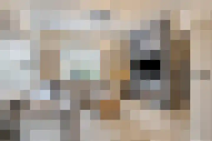 Broekstraat 1 Koningslust thumbnail 6