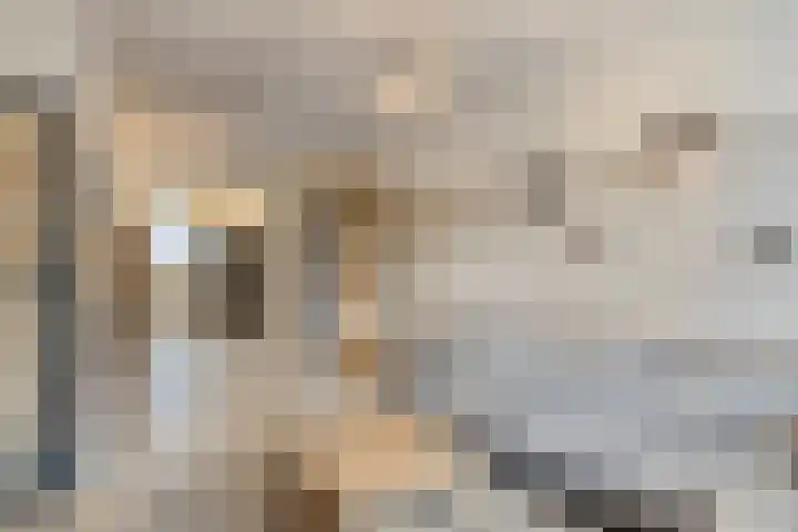 Broekstraat 1 Koningslust thumbnail 7