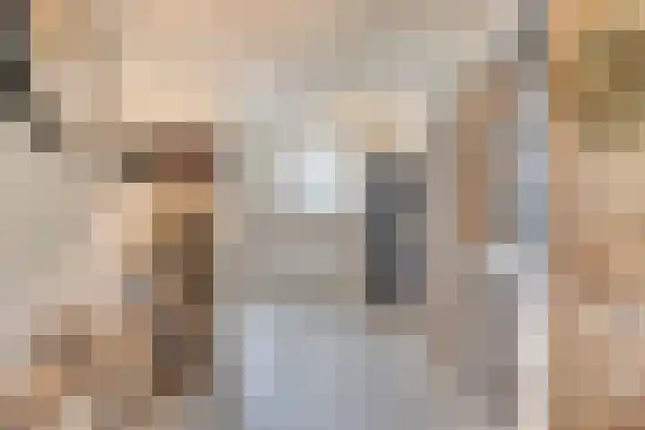 Broekstraat 1 Koningslust thumbnail 9