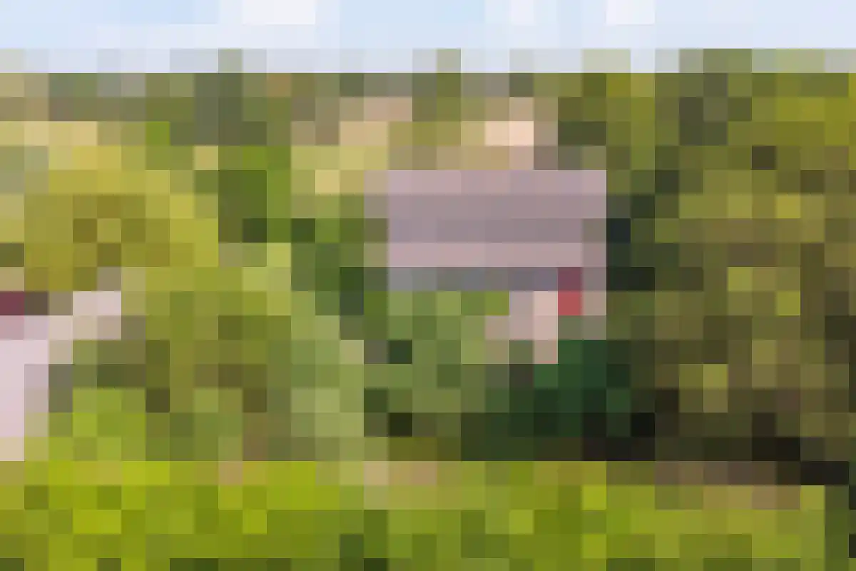 Broekstraat 1 Oeffelt thumbnail 10