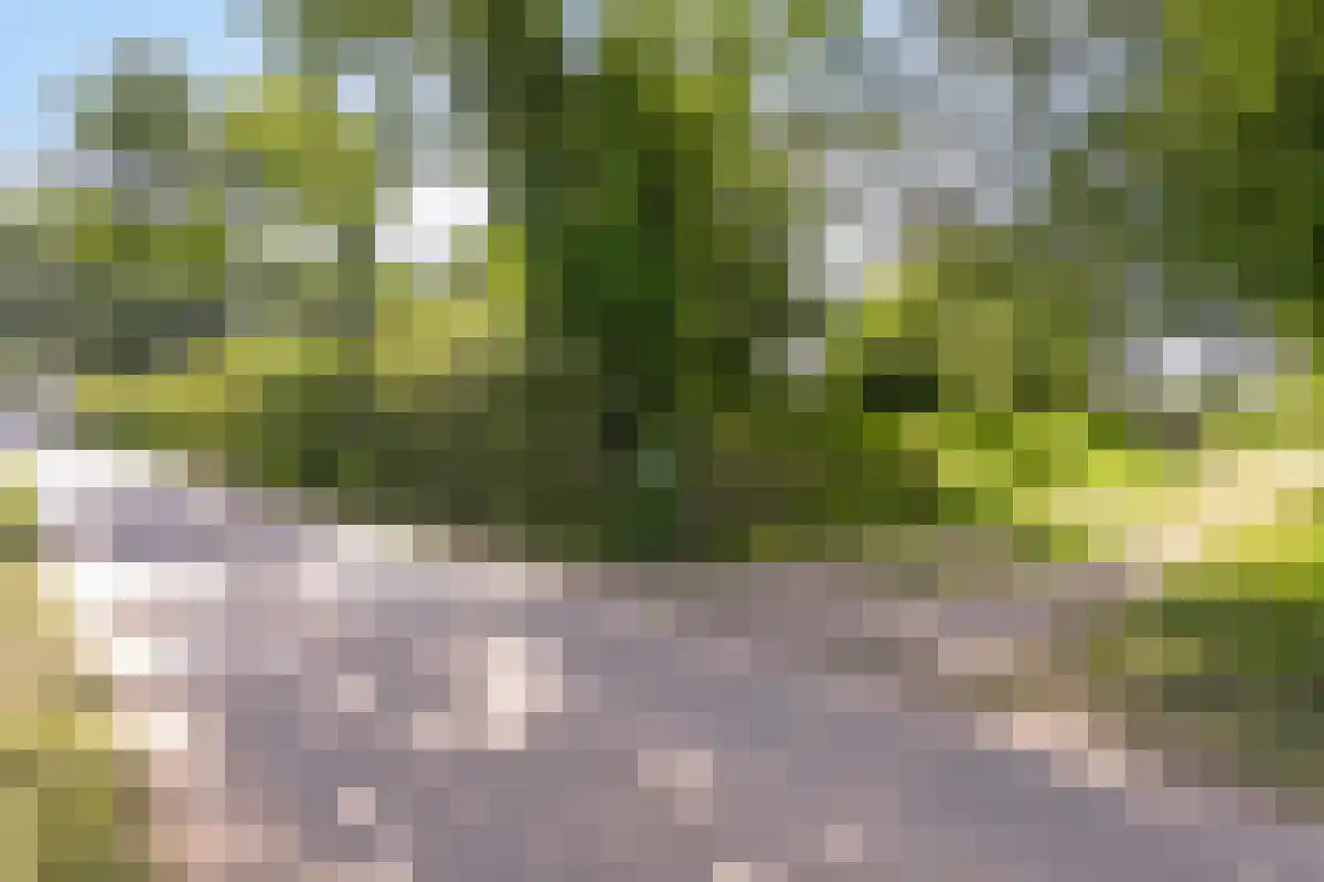 Broekstraat 1 Oeffelt thumbnail 11