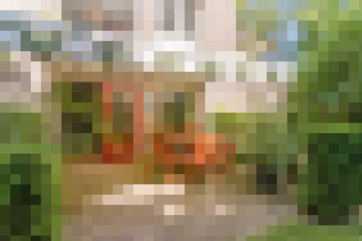 Broekstraat 1 Oeffelt thumbnail 28
