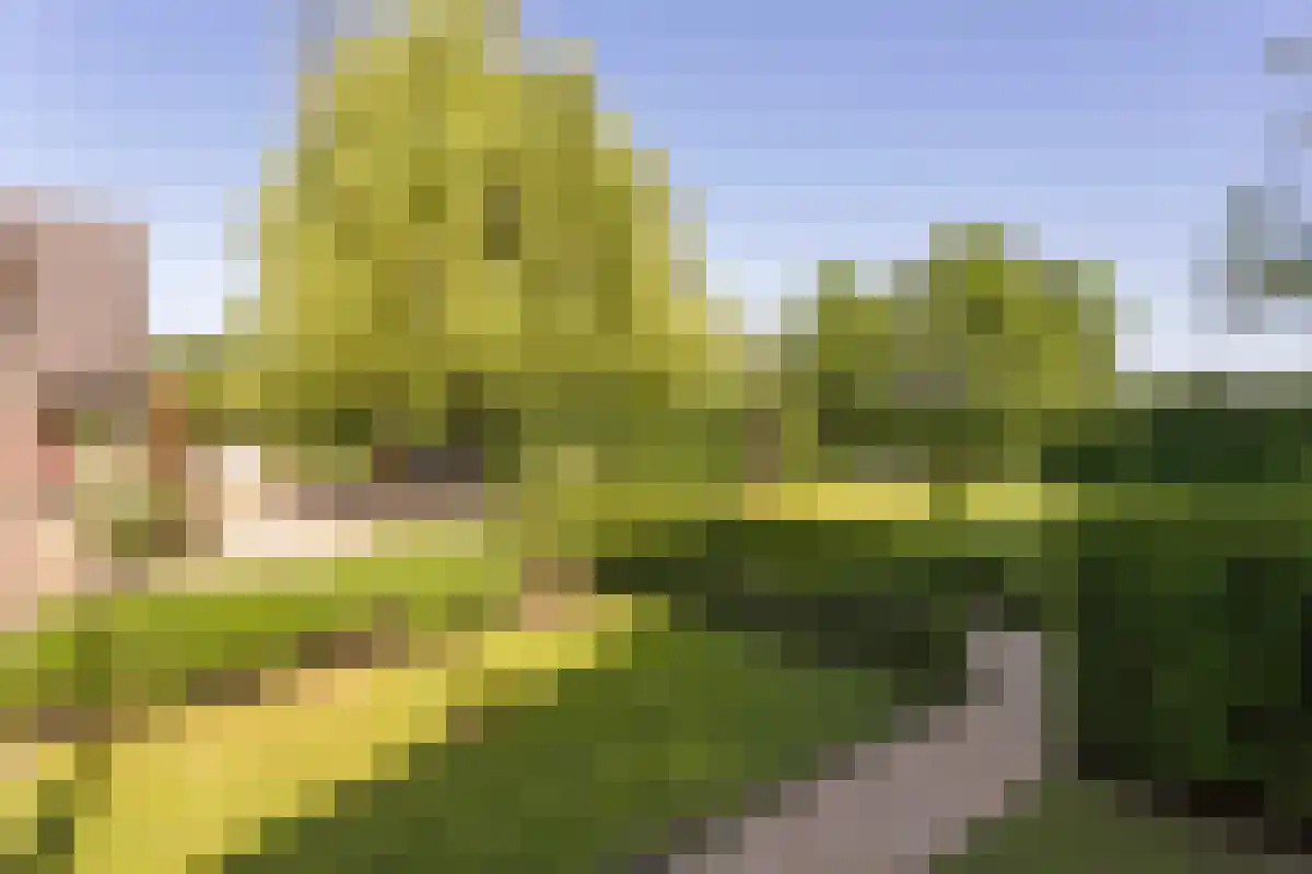 Broekstraat 1 Oeffelt thumbnail 4