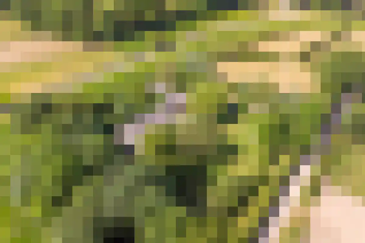 Broekstraat 1 Oeffelt thumbnail 5