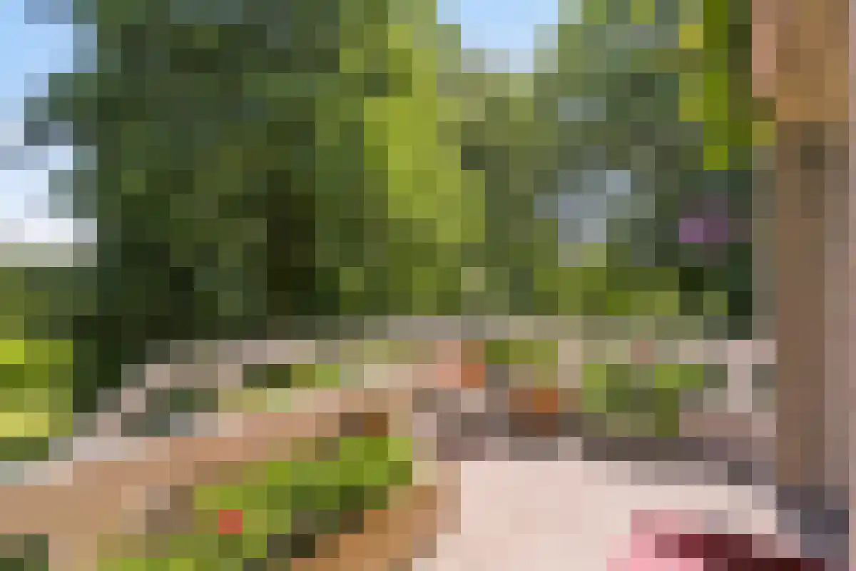 Broekstraat 1 Oeffelt thumbnail 62