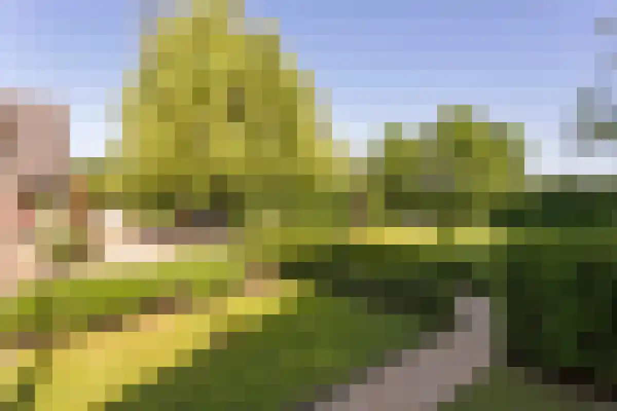 Broekstraat 1 Oeffelt thumbnail 63