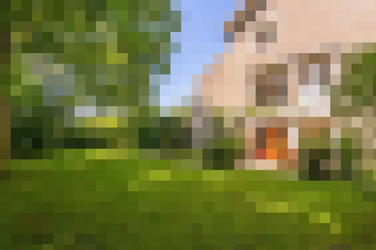 Broekstraat 1 Oeffelt thumbnail 68