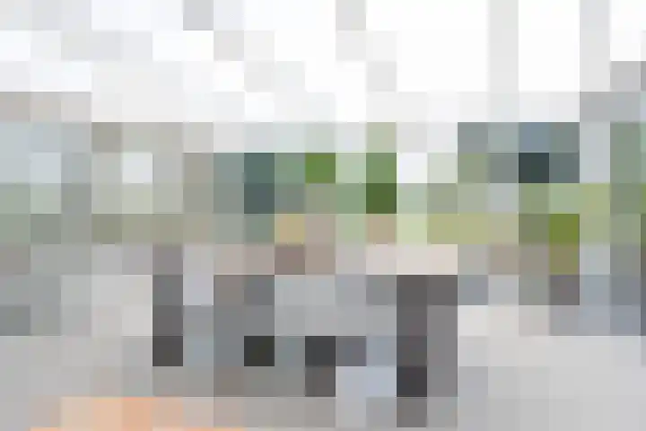 Broekstraat 10 Klarenbeek thumbnail 12