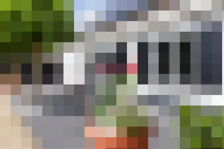Broekstraat 10 Klarenbeek thumbnail 34