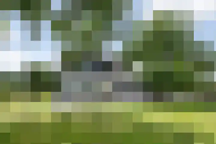 Broekstraat 10 Klarenbeek thumbnail 36