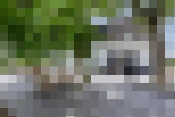 Broekstraat 10 Klarenbeek thumbnail 37