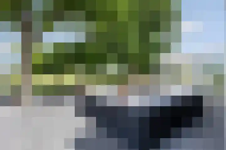 Broekstraat 10 Klarenbeek thumbnail 38