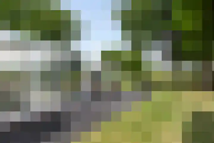 Broekstraat 10 Klarenbeek thumbnail 39