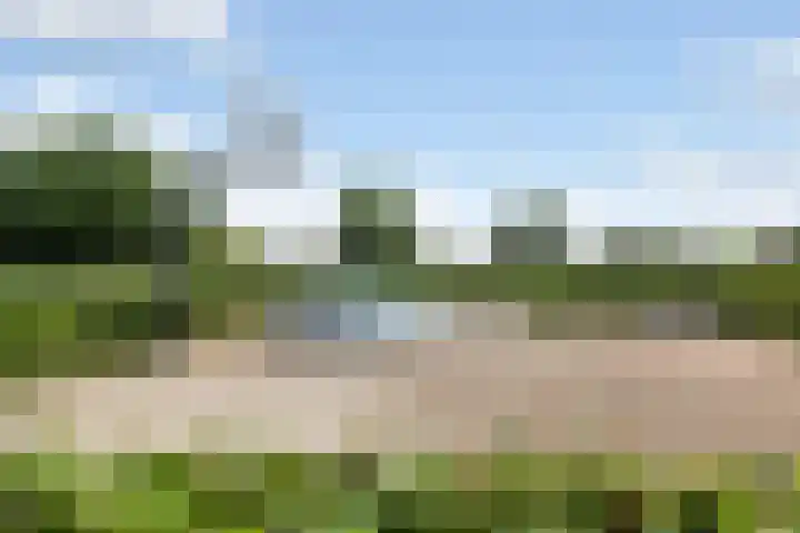 Broekstraat 10 Klarenbeek thumbnail 41
