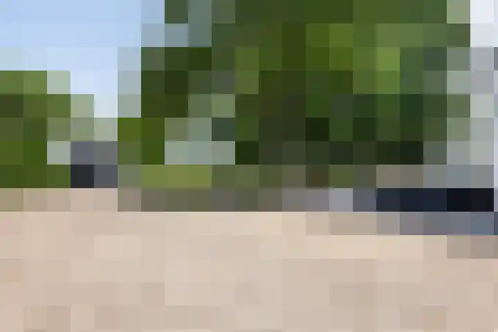 Broekstraat 10 Klarenbeek thumbnail 42