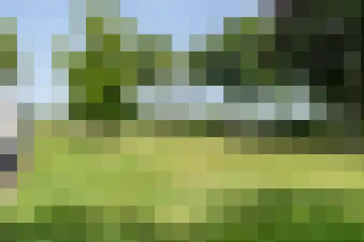 Broekstraat 10 Klarenbeek thumbnail 45