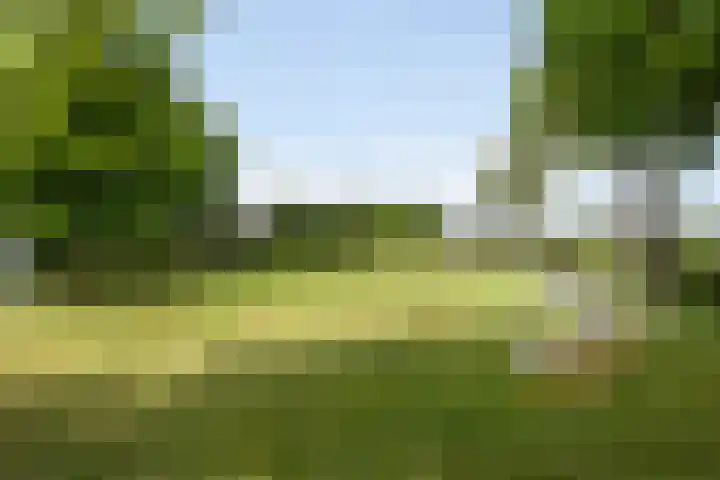 Broekstraat 10 Klarenbeek thumbnail 46