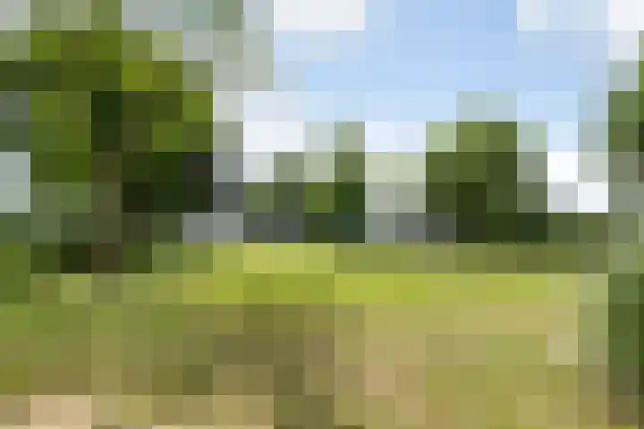 Broekstraat 10 Klarenbeek thumbnail 48