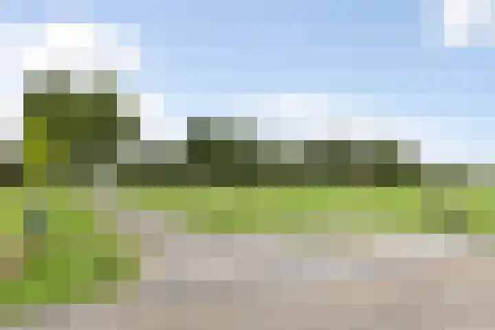 Broekstraat 10 Klarenbeek thumbnail 50