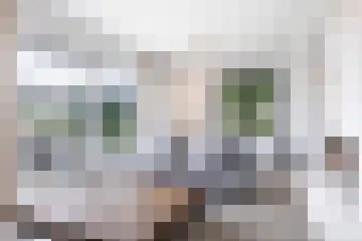 Broekstraat 10 Klarenbeek thumbnail 8