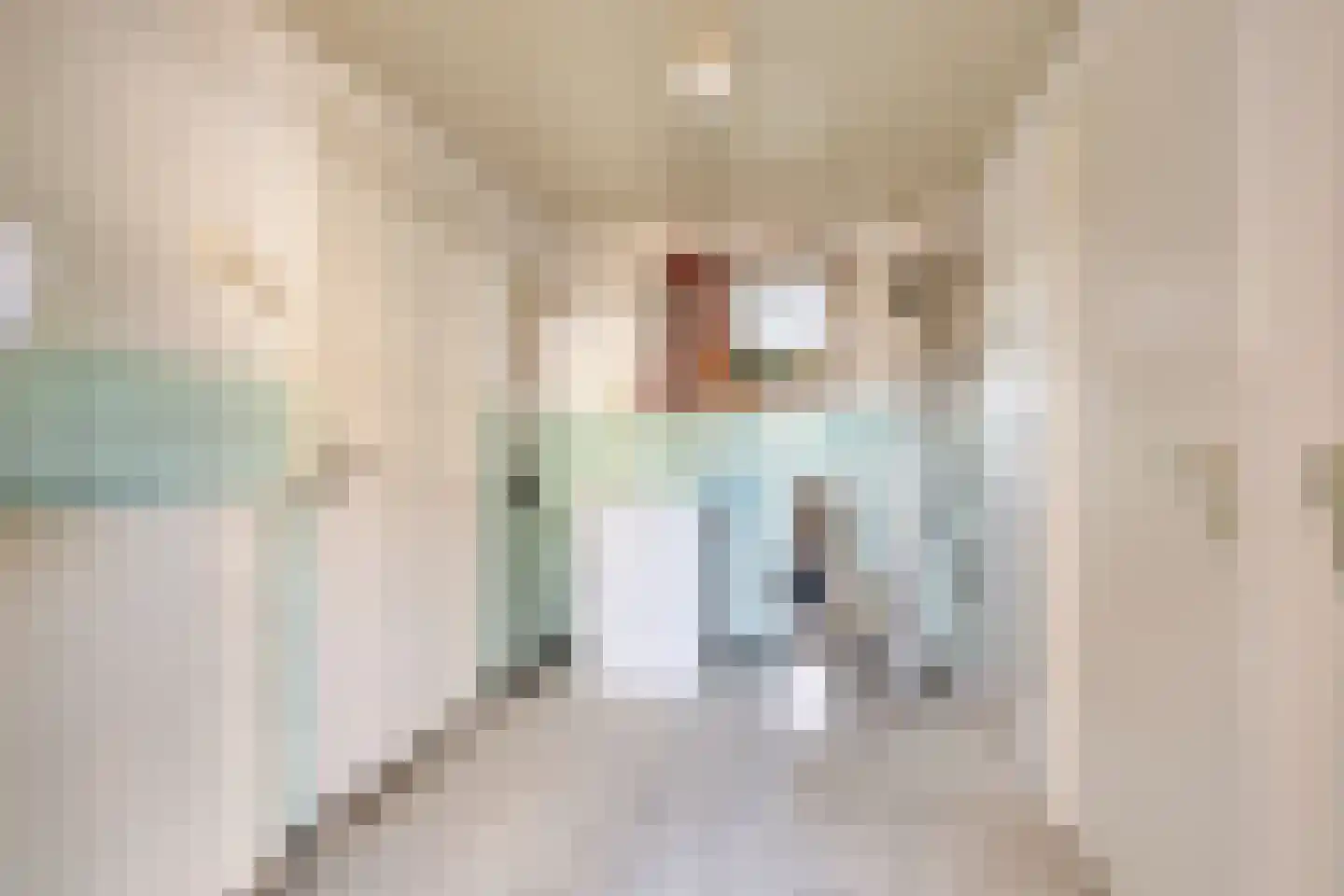 Broekstraat 11 Geffen thumbnail 15