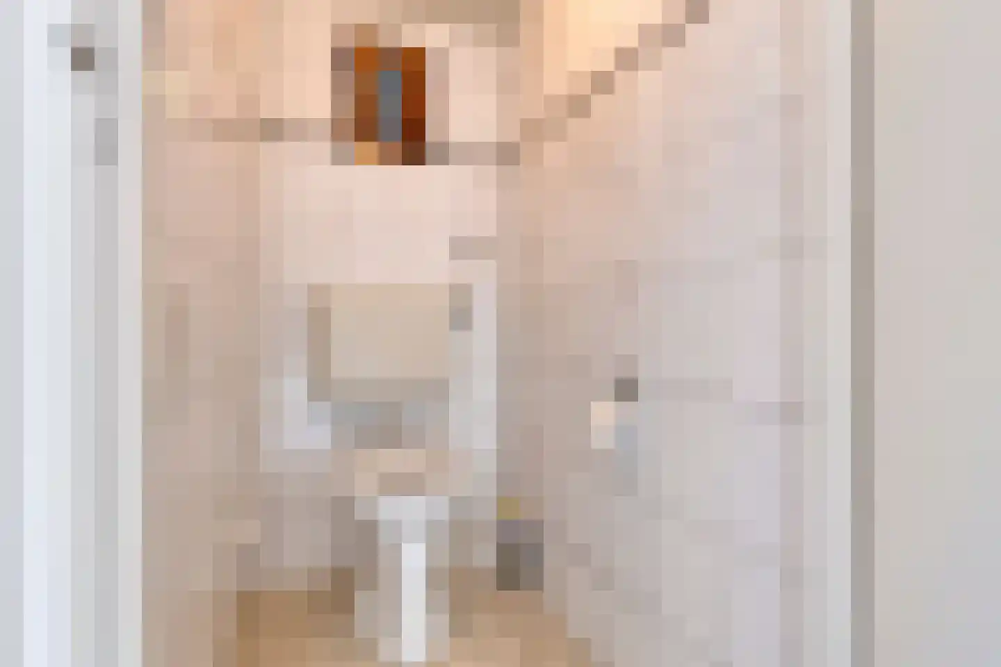 Broekstraat 11 Geffen thumbnail 16