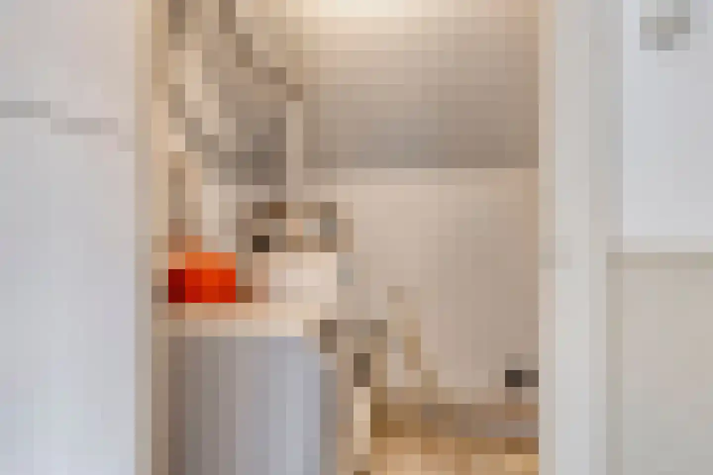 Broekstraat 11 Geffen thumbnail 25